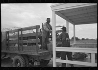 [Untitled photo, possibly related to: Southeast Missouri Farms. Moving into new home] by Russell Lee