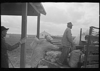 [Untitled photo, possibly related to: Southeast Missouri Farms. Loading truck in process of moving FSA (Farm Security Administration) client to new farm unit] by Russell Lee