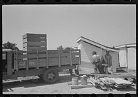 [Untitled photo, possibly related to: Barn erection. Unloading barn panels around circumference of the foundation. These panels were loaded in order of distribution at the site. Southeast Missouri Farms Project] by Russell Lee