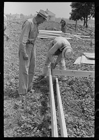 [Untitled photo, possibly related to: Barn erection. Nailing together precut girders in barn floor system. Southeast Missouri Farms Project] by Russell Lee