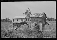 Privy and primitive henhouse with new house in the rear, Southeast Missouri Farms by Russell Lee