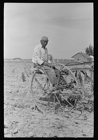 [Untitled photo, possibly related to: Southeast Missouri Farms. FSA (Farm Security Administration) client, former sharecropper, cultivating cotton] by Russell Lee