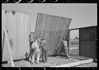 Barn erection. Raising interior panel at corn crib corner at the barn. Southeast Missouri Farms Project by Russell Lee