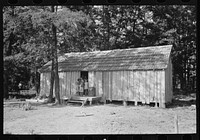 House without windows, home of sharecropper cut-over farmers of Mississippi bottoms by Russell Lee