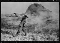 Fighting fire of rice straw stack in rice field near Crowley, Louisiana by Russell Lee