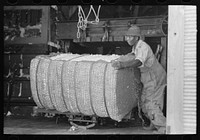 Removing bales of cotton from gin press, Lehi, Arkansas by Russell Lee