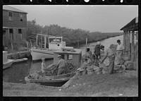 Unloading oysters from small boats, Olga, Louisiana. Note length of canal leading out to Gulf by Russell Lee
