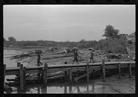 [Untitled photo, possibly related to: Unloading oysters from packet boat arriving at New Orleans, Louisiana] by Russell Lee