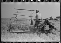 Cutting rice with binder, Crowley, Louisiana by Russell Lee