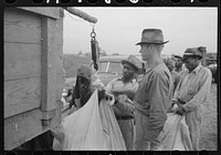 [Untitled photo, possibly related to: Day laborers, cotton pickers, waiting to be paid off at end of day's work. Lake Dick Project, Arkansas] by Russell Lee