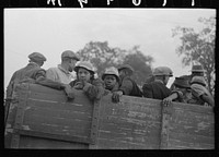 Cotton pickers in truck, Pine Bluff, Arkansas by Russell Lee