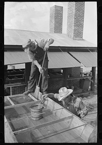 Cleaning vats used in production of syrup from sorghum, Lake Dick Project, Arkansas by Russell Lee