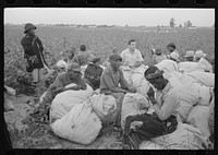 [Untitled photo, possibly related to: Day laborers, cotton pickers, waiting to be paid off at end of day's work. Lake Dick Project, Arkansas] by Russell Lee