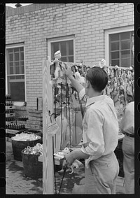[Untitled photo, possibly related to: Concessionaire placing doll canes in rack, National Rice Festival, Crowley, Louisiana] by Russell Lee