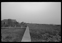 [Untitled photo, possibly related to: Bar pilot's house, Pilottown, Louisiana] by Russell Lee
