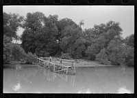 [Untitled photo, possibly related to: Unloading oysters from fisherman's boat, Olga, Louisiana] by Russell Lee