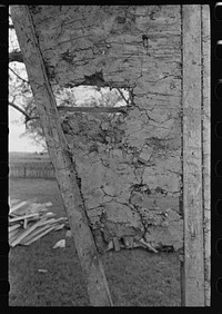 [Untitled photo, possibly related to: Detail of construction of old house; note the wooden cross lath. The construction material composed of mud and native moss. Near Edgard, Louisiana] by Russell Lee