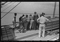 Stevedores at work on bow of packet boat El Rito on lower Mississippi River by Russell Lee
