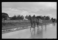 [Untitled photo, possibly related to: Buggy stopped on highway near Lafayette, Louisiana] by Russell Lee
