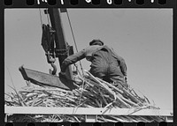 [Untitled photo, possibly related to: Manipulating scissors crane used for loading sugarcane in field near New Iberia, Louisiana] by Russell Lee