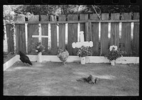Decorated graves in cemetery, All Saints' Day, New Roads, Louisiana, with chickens eating the flowers by Russell Lee