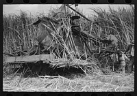 [Untitled photo, possibly related to: Wurtele sugarcane harvester bogged down and out of temporary running condition, Mix, Louisiana] by Russell Lee