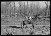 [Untitled photo, possibly related to: Home supervisor of Chicot Farms project must ride horseback to get to and from project. Arkansas] by Russell Lee