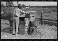 [Untitled photo, possibly related to: Stock water supply of FSA (Farm Security Administration) client who will shortly be under tenant purchase, near Morganza, Louisiana] by Russell Lee