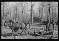 Mud sled arriving at project, Chicot Farms, Arkansas by Russell Lee