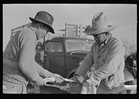 Mexican labor contractor and worker cutting straw ties into proper length, near Santa Maria, Texas by Russell Lee