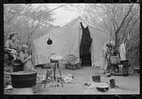 Tent home of white migrant from Arizona, near Harlingen, Texas by Russell Lee