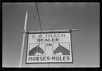 Sign of horse and mule dealer, Eudora, Arkansas by Russell Lee