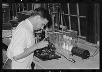 Chemist running microscopic test on sweet potato starch at plant, Laurel, Missisippi by Russell Lee