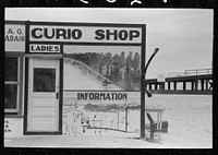 [Untitled photo, possibly related to: Curio shop and ladies' restroom, Port Aransas, Texas] by Russell Lee