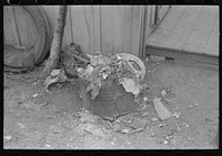 [Untitled photo, possibly related to: Uncollected garbage and pot plants in back yard of Mexican house, San Antonio, Texas] by Russell Lee