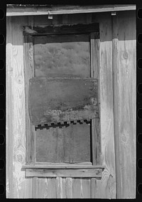[Untitled photo, possibly related to: Detail of window, Crystal City, Texas, Mexican section] by Russell Lee