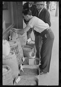 Clerk putting up seed, San Augustine, Texas by Russell Lee