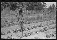 FSA (Farm Security Administration) client hoeing garden, Sabine Farms, Marshall, Texas by Russell Lee