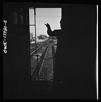 [Untitled photo, possibly related to: Freight train operations on the Chicago and Northwestern Railroad between Chicago and Clinton, Iowa. Every time a train is passed, the rear brakeman of each train steps out on the caboose platform, and if all is well, as in this case, gives the other brakeman the high sign]. Sourced from the Library of Congress.