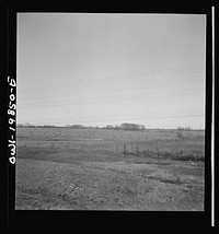 [Untitled photo, possibly related to: Argonis, Kansas. Crossing wheat fields along the Atchison, Topeka and Santa Fe Railroad between Wellington, Kansas and Waynoka, Oklahoma]. Sourced from the Library of Congress.