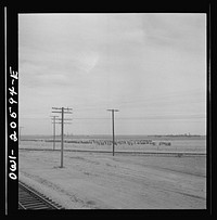 [Untitled photo, possibly related to: Farwell, Texas. Bales of cotton at a warehouse and gin along the Atchison, Topeka and Santa Fe Railroad between Amarillo, Texas and Clovis, New Mexico]. Sourced from the Library of Congress.