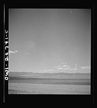 [Untitled photo, possibly related to: Mountainair, New Mexico. A cultivated field along the Atchison, Topeka and Santa Fe Railroad between Vaughn and Belen, New Mexico]. Sourced from the Library of Congress.