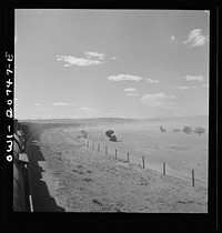 Abo, New Mexico. Train stopping along the Atchison, Topeka and Santa Fe Railroad between Vaughn and Belen, New Mexico. Sourced from the Library of Congress.