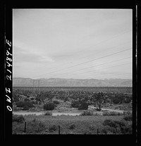 Victorville (vicinity), California. Climbing the mountains on the Atchison, Topeka and Santa Fe Railroad between Barstow and San Bernardino, California. Note the Joshua trees. Sourced from the Library of Congress.