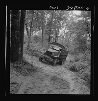 [Untitled photo, possibly related to: Warner Robins, Georgia. Air Service Command, Robins Field. Part of the training of the truck drivers of the depot group consists of driving many times through an obstacle course in the woods]. Sourced from the Library of Congress.