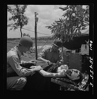 Greenville, South Carolina. Men of the medical unit of the 25th service group demonstrating a blood plasma transfusion under simulated field conditions. Sourced from the Library of Congress.