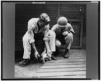 Greenville, South Carolina. Air Service Command. Enlisted men of the 25th service group playing with a puppy. Sourced from the Library of Congress.