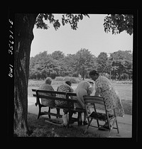 [Untitled photo, possibly related to: Philadelphia, Pennsylvania. A group of women in the shade at Fairmont Park]. Sourced from the Library of Congress.