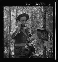 Greenville, South Carolina. Air Service Command. Enlisted men of the signal company of the 25th service group using a field telephone during a problem under simulated field conditions. Sourced from the Library of Congress.