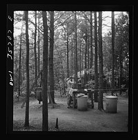 Greenville, South Carolina. Air Service Command. Enlisted men shaving in the wooded area occupied by the 25th service group. Sourced from the Library of Congress.